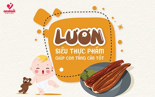 LƯƠN - SIÊU THỰC PHẨM GIÚP CON TĂNG CÂN TỐT