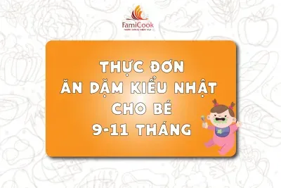 THỰC ĐƠN ĂN DẶM KIỂU NHẬT CHO BÉ 9-11 THÁNG