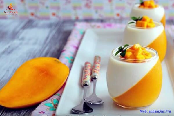 BỮA PHỤ HẤP DẪN VỚI PANNA COTTA XOÀI