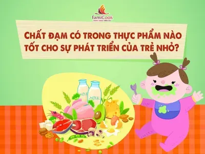 CHẤT ĐẠM CÓ TRONG THỰC PHẨM NÀO TỐT CHO SỰ PHÁT TRIỂN CỦA TRẺ