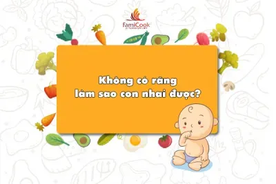 KHÔNG CÓ RĂNG LÀM SAO CON NHAI ĐƯỢC?