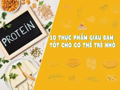 10 THỰC PHẨM GIÀU ĐẠM TỐT CHO SỰ PHÁT TRIỂN CỦA TRẺ