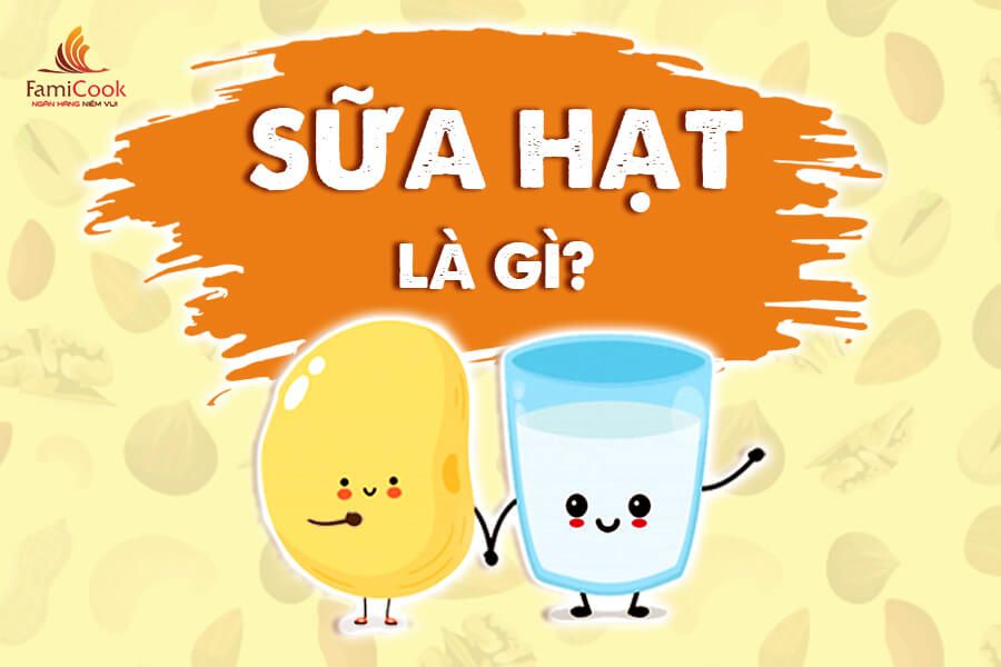 SỮA HẠT LÀ GÌ? LỢI ÍCH CỦA SỮA HẠT ĐỐI VỚI SỨC KHỎE