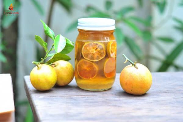 CÁCH LÀM SIRO TRỊ HO CHO BÉ TỪ QUẤT, GỪNG, LÁ HÚNG CHANH