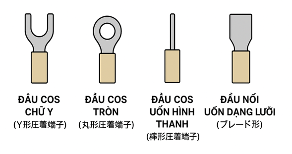 LOẠI ĐẦU COS HAY SỬ DỤNG TRONG NGÀNH ĐIỆN